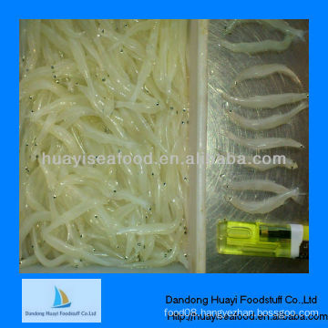 high quality fresh frozen silver fish